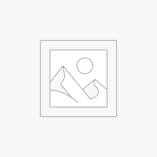 Business Strategy Consultation