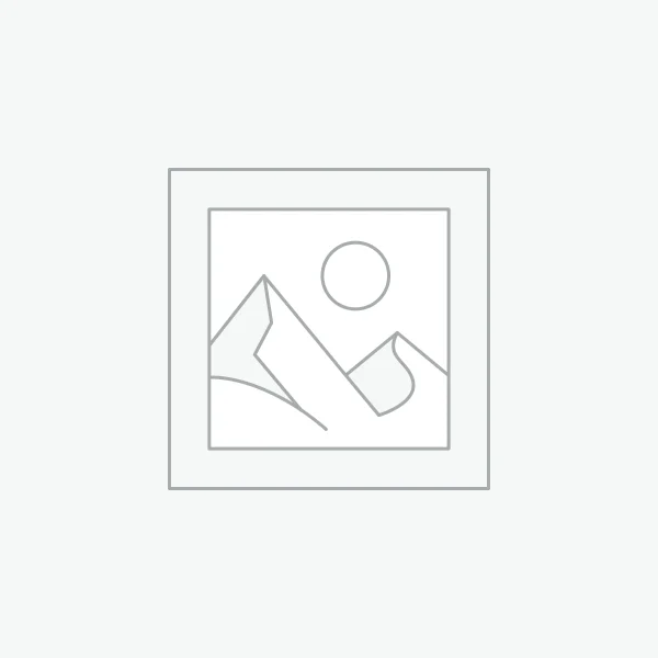 Business Strategy Consultation